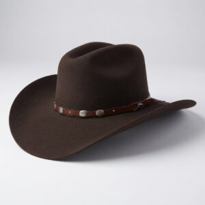 Tombstone Denver Brown Felt Cowboy Hat